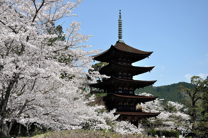 瑠璃光寺五重塔