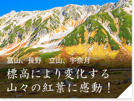 富山、長野　立山、宇奈月　標高により変化する山々の紅葉に感動！