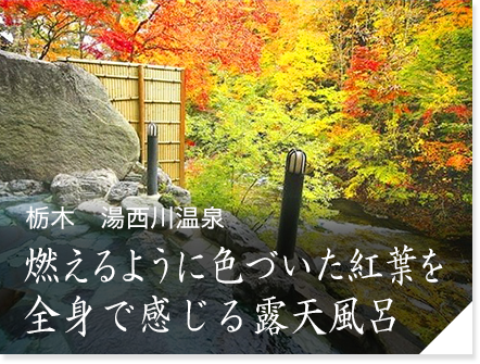 栃木　湯西川温泉「彩り湯かしき花と華」　燃えるように色づいた紅葉を全身で感じる露天風呂