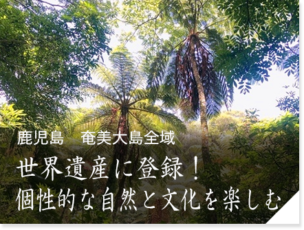 鹿児島　奄美大島全域　世界遺産に登録！個性的な自然と文化を楽しむ