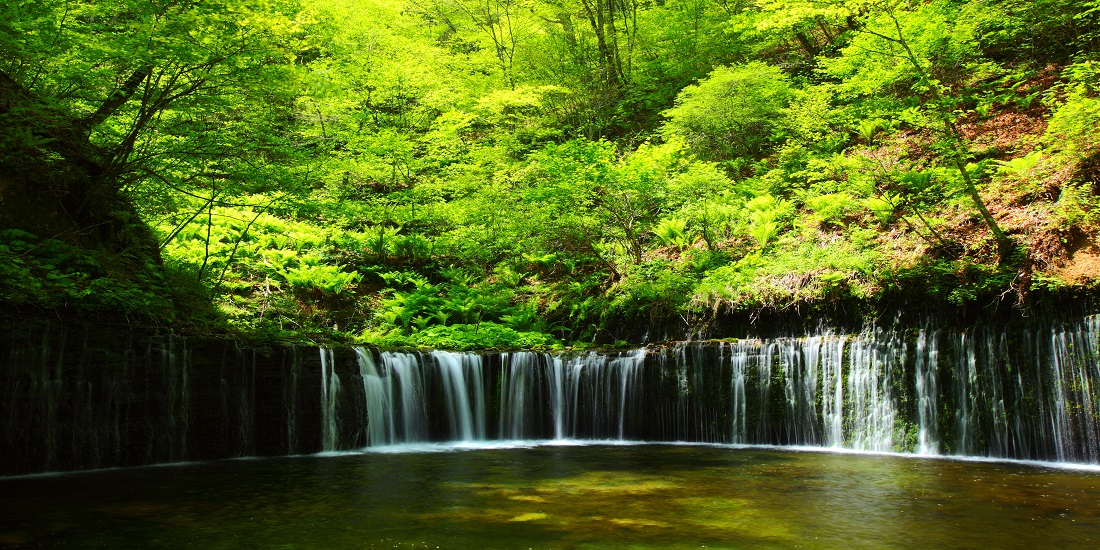 往復新幹線で行く！東京発⇒長野(軽井沢)旅行！JR・新幹線＋ホテルの宿泊パック・ツアーをお得に予約│近畿日本ツーリスト