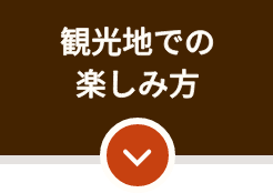 観光地での楽しみ方