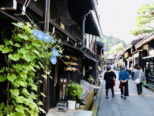 高山の古い町並みを歩く