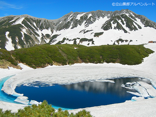 立山黒部アルペンルート