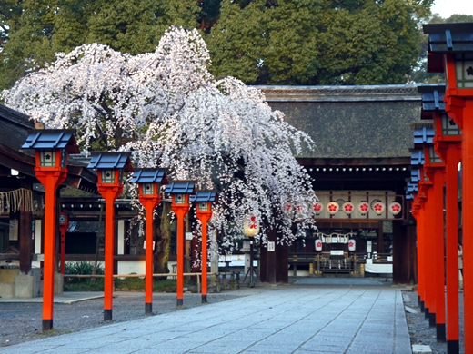 平野神社（北区）