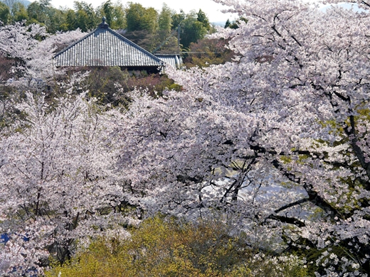 将軍塚青龍殿（山科区）