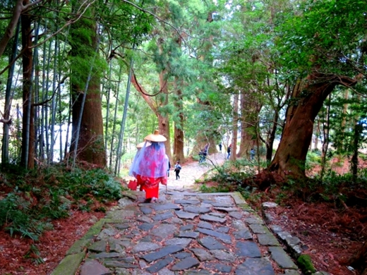 熊野古道（和歌山県）