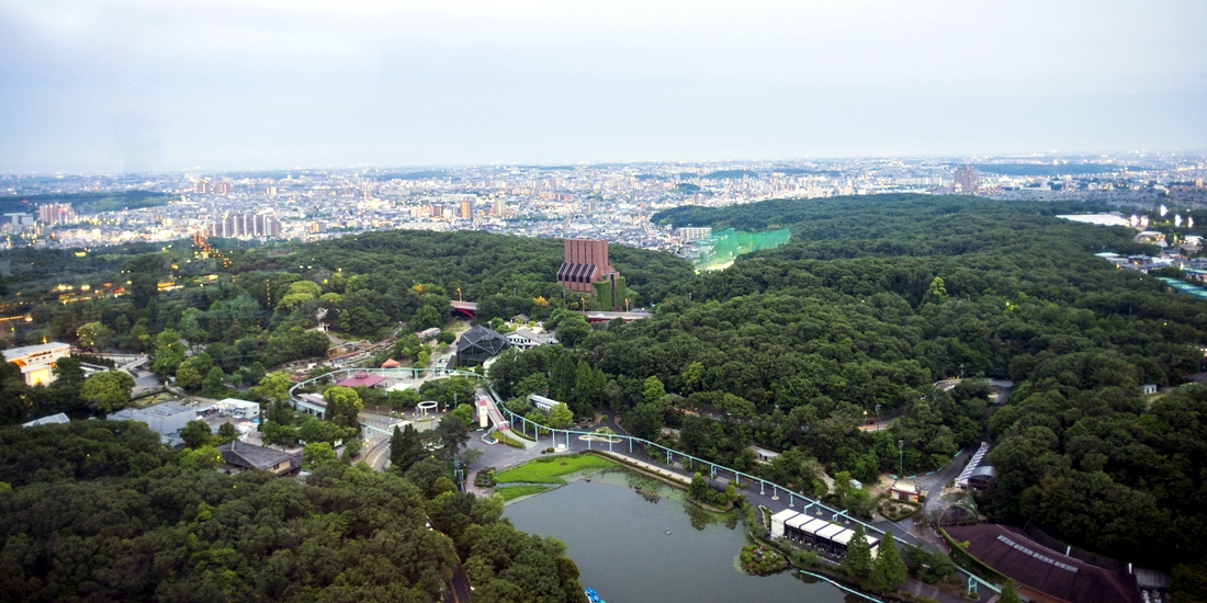 日中も絶景です