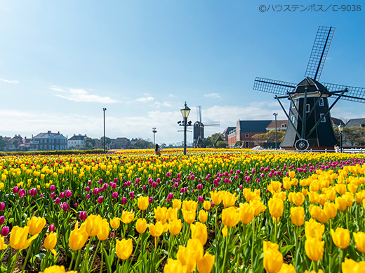ハウステンボス特集