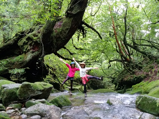 苔の沢