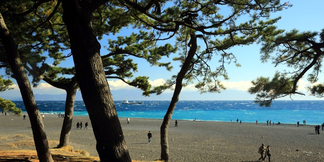 三保松原の風景