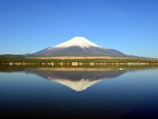 美しい景観を眺める