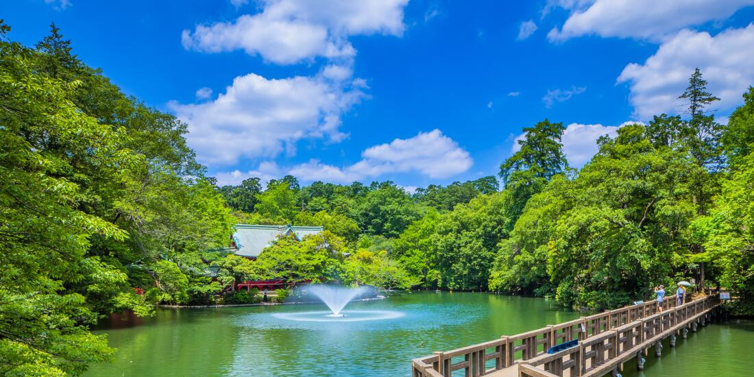 家族旅行に最適！
吉祥寺の観光スポット