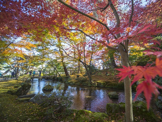 金沢の紅葉イメージ