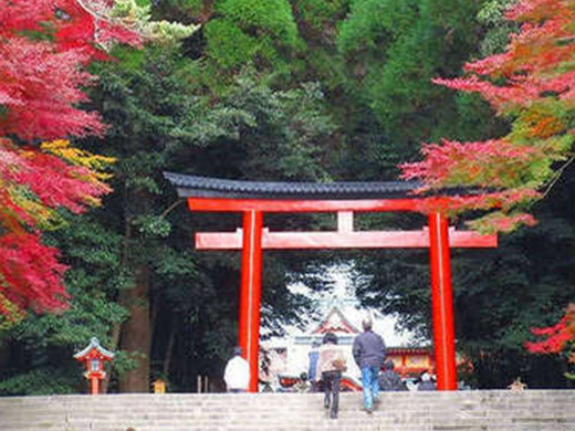 霧島神宮の紅葉イメージ