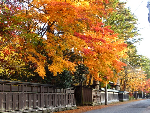 角館の紅葉イメージ