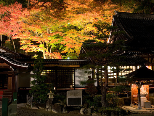 下呂温泉の紅葉イメージ