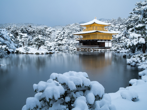 京都の社寺が魅せる
冬の絶景