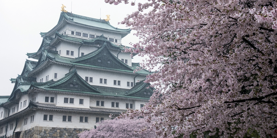 春の名古屋城