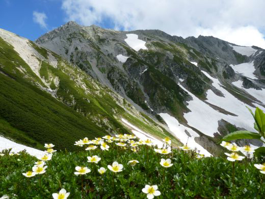 雷鳥沢から立山