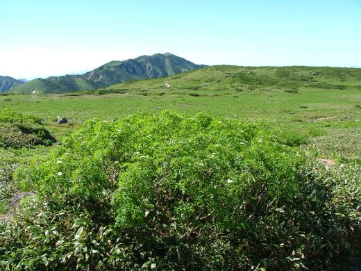 新白山噴火