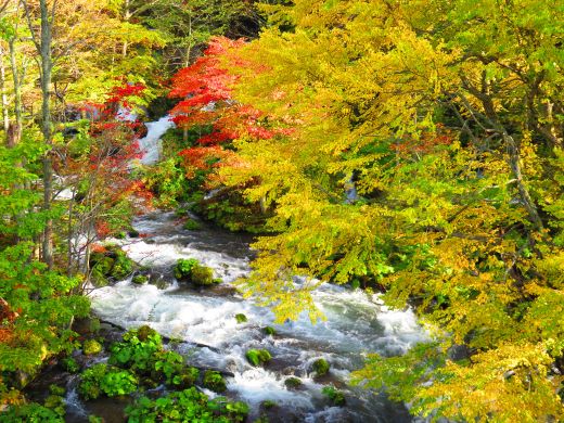 滝見橋からの阿寒川