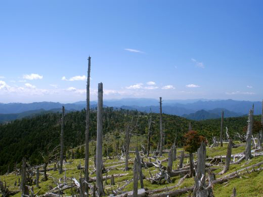 大台ヶ原・正木峠付近