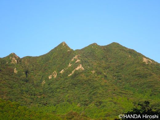 四季　秋　七ッ岳　福江島