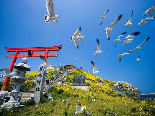 蕪島