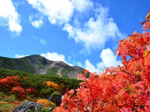 中部山岳国立公園イメージ