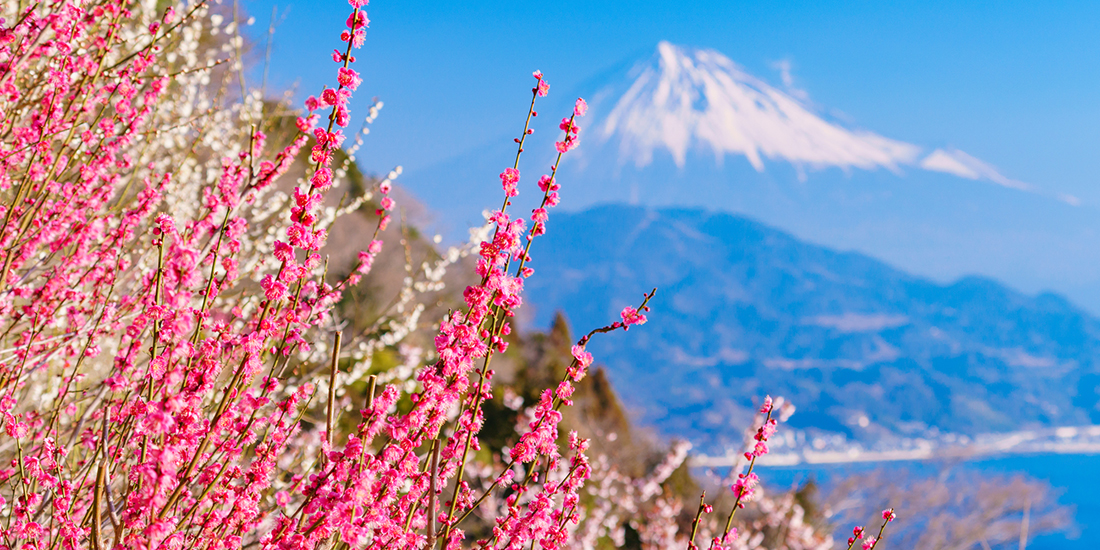 年末年始・冬休み特集