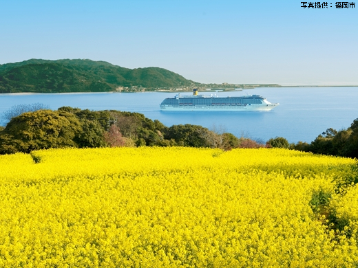 福岡市近郊の自然豊かな島