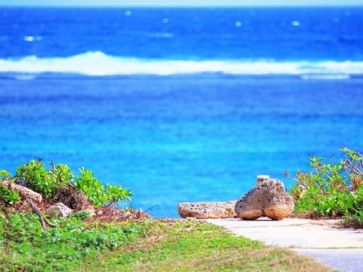 沖縄本島（シーズンガイド）