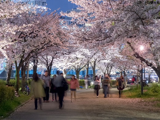 城外の大阪城公園