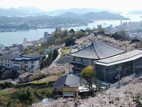 瀬戸内の多島美の桜のイメージ