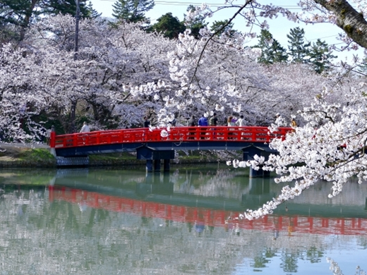 弘前桜まつり（青森県）