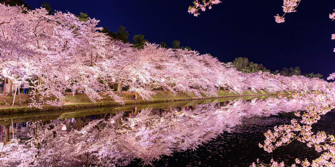 全国の桜まつり3選（周辺の宿）│近畿日本ツーリスト