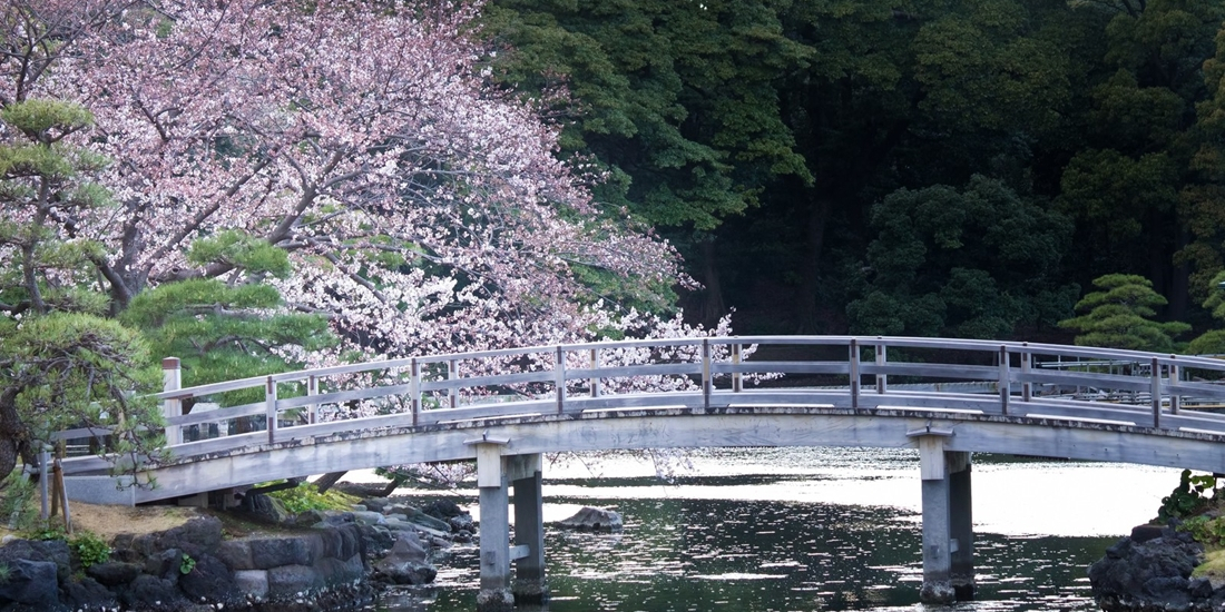 東京の庭園をゆっくり散策