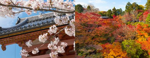 春の桜・秋の紅葉で選ぶおすすめ世界遺産