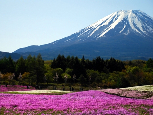 富士本栖湖リゾート（山梨県）