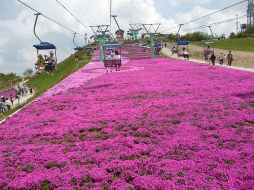 茶臼山高原（愛知県）