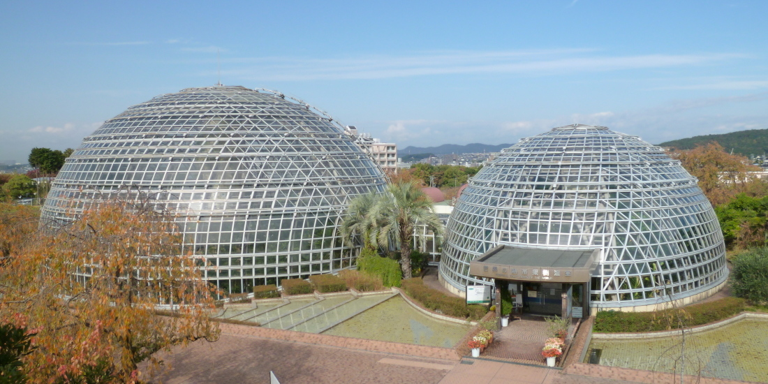 名古屋でフルーツと言えば
東谷山フルーツパーク