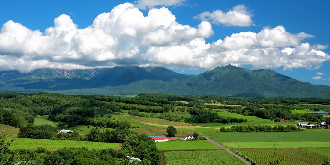 夏の十勝岳