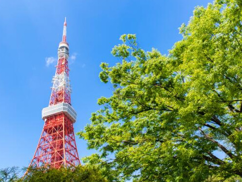 リニューアルで魅力倍増！
東京タワーの見どころ3選