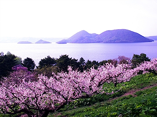 洞爺湖ビューを満喫する