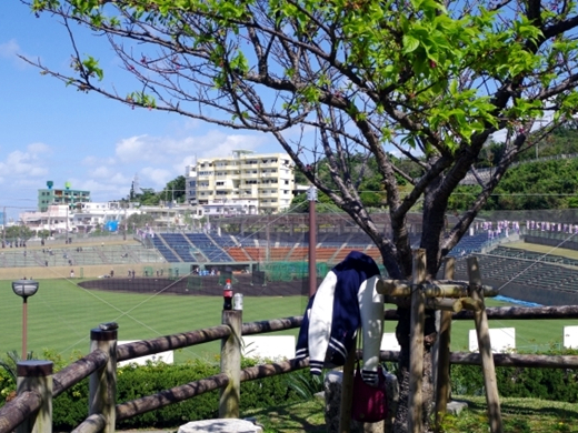 沖縄でプロ野球キャンプを応援