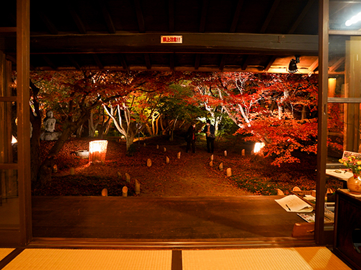 宇野千代生家 紅葉ライトアップイメージ