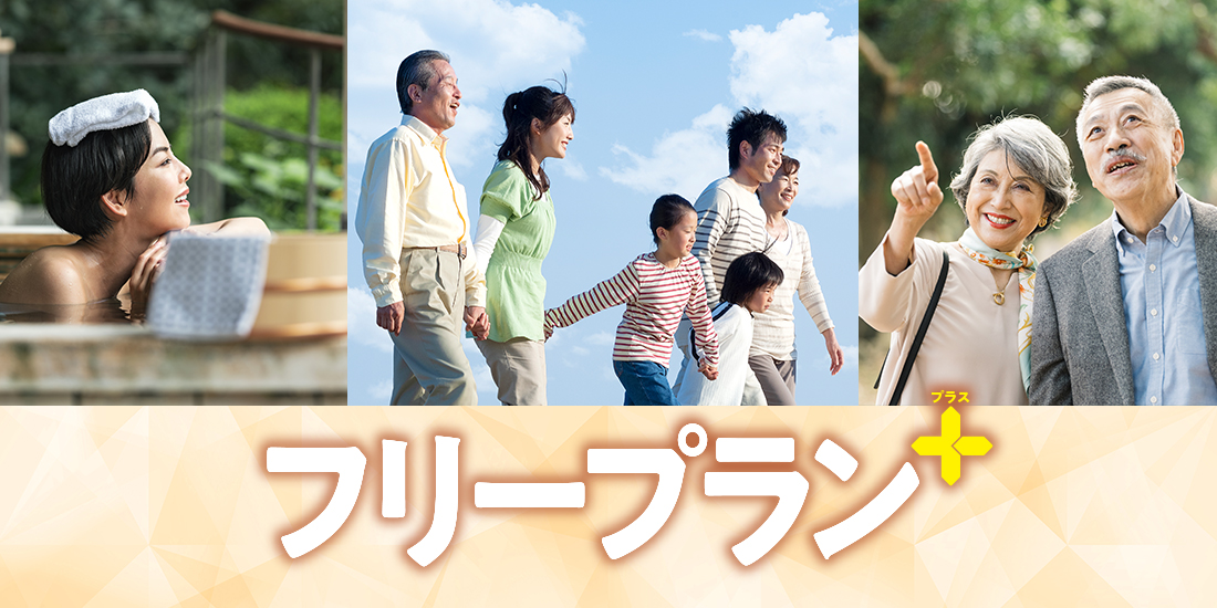 フリープラン＋