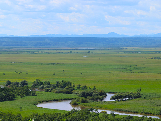 釧路湿原国立公園
