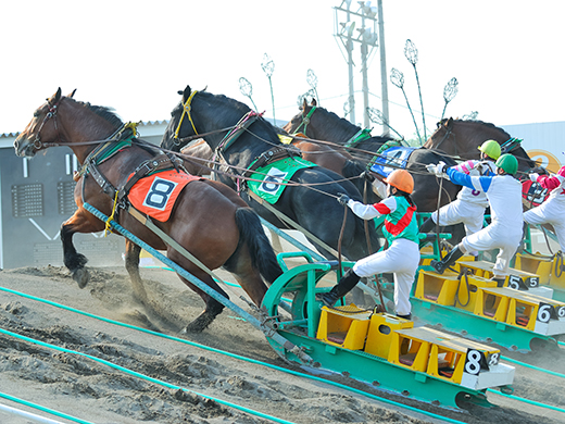 帯広競馬場（ばんえい十勝）